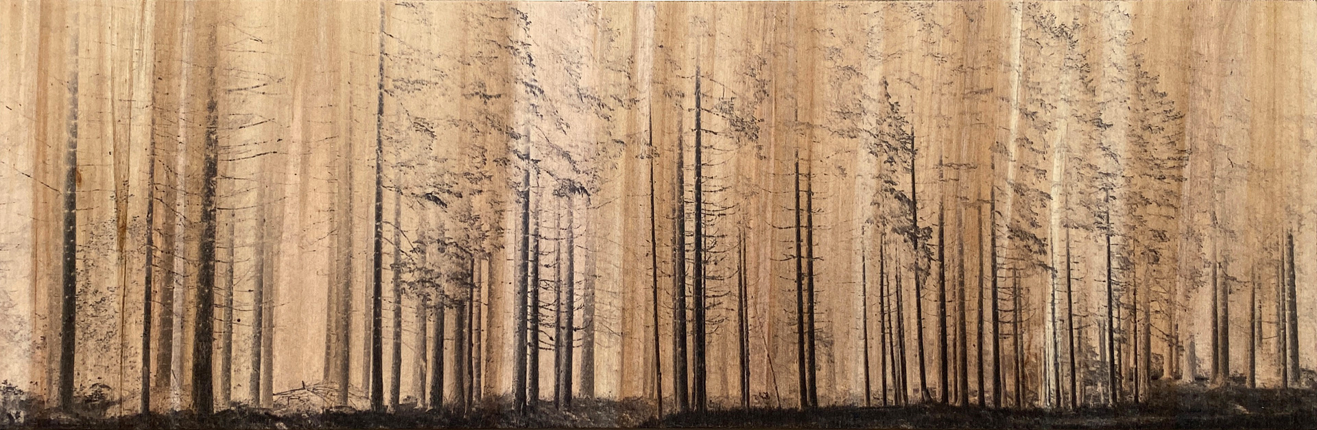 Pineta_v2