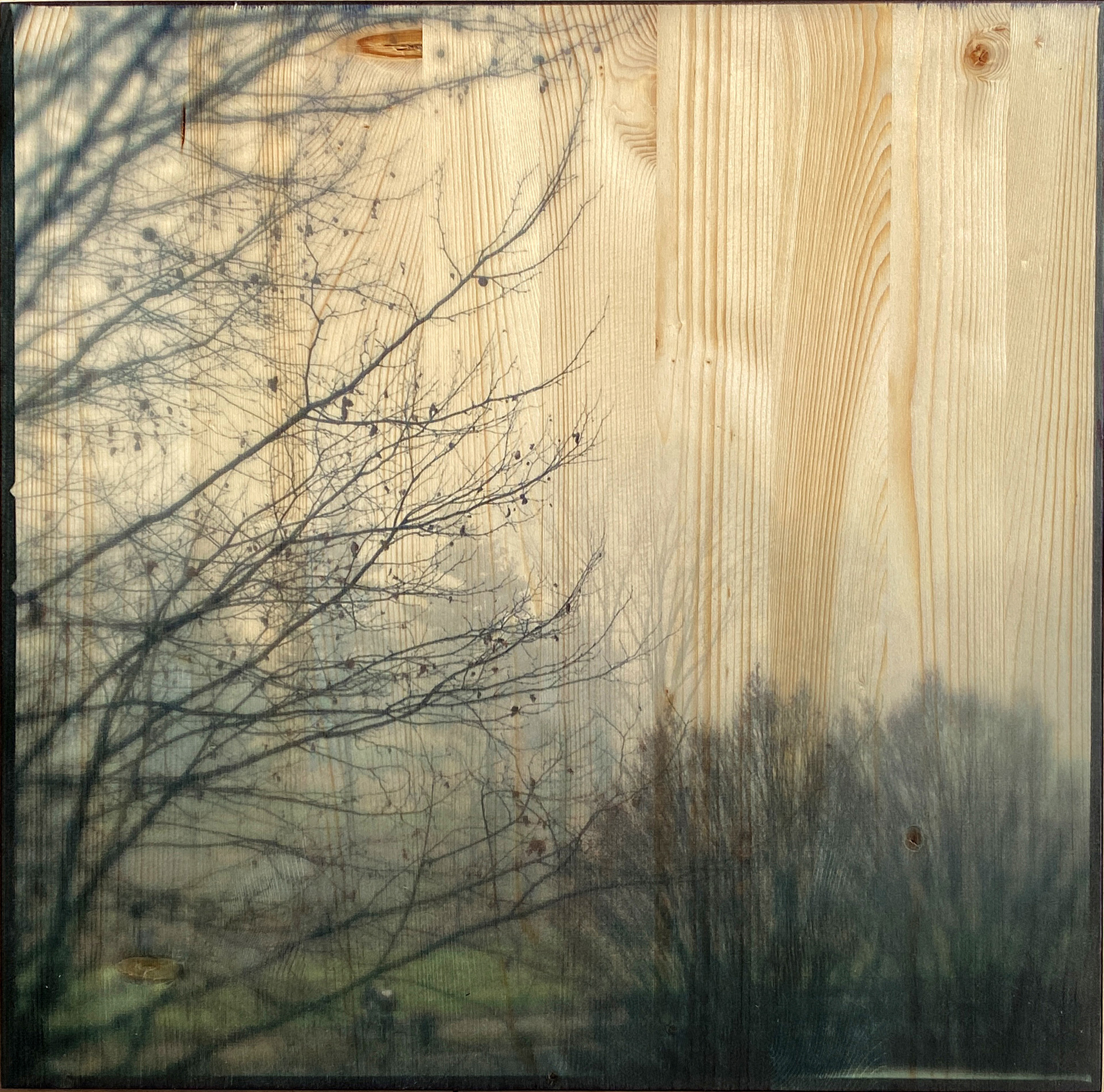 Nebbia-al-Castellazzo_v2